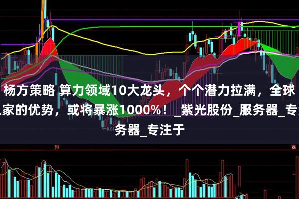 杨方策略 算力领域10大龙头，个个潜力拉满，全球仅三家的优势，或将暴涨1000%！_紫光股份_服务器_专注于