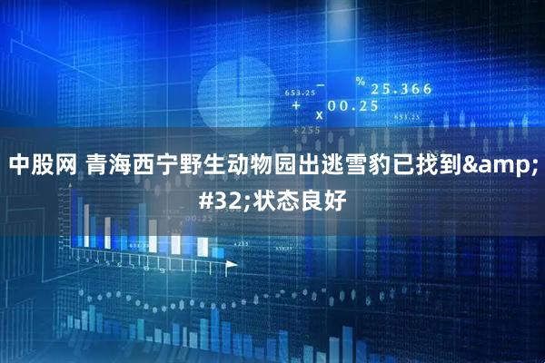 中股网 青海西宁野生动物园出逃雪豹已找到 状态良好